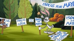 Poster for Bugs for Mayor