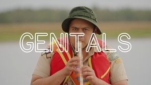 Poster for The Evolutionary Dance of Genitals
