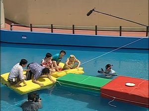 Poster for Summer Vacation Special - Hawaii Swimming Pool Special