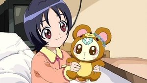 Poster for Want to Meet Pretty Cure! The Little Girl`s Wish!!