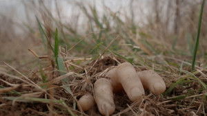 Poster for Episode 119