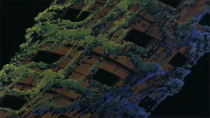 Poster for The Daruma Yokai Poster for The Daruma Yokai