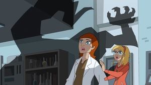 Poster for Natural Selection