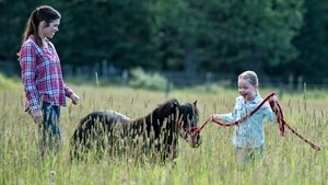 Poster for A Horse With No Rider