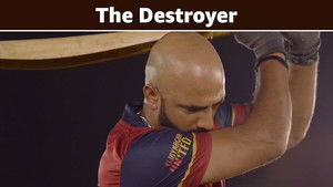 Poster for The Destroyer