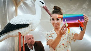 Poster for Where are the aubergines?