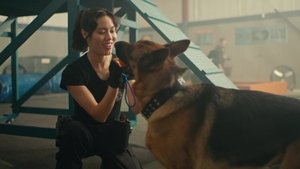 Poster for K9: The Rext Generation