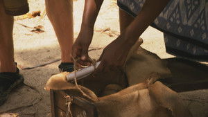 Poster for Episode 9