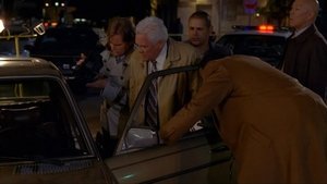 Poster for In Custody