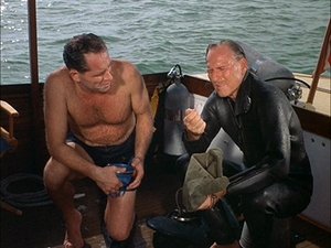 Poster for Flipper's Treasure