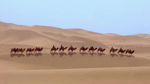 Poster for Episode 9 Poster for Episode 9