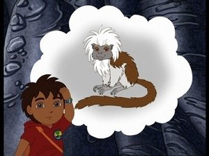Poster for Cotton-Top Tamarin Cave Rescue