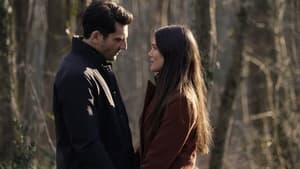 Poster for Last Romantic