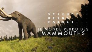 Poster for Episode 11
