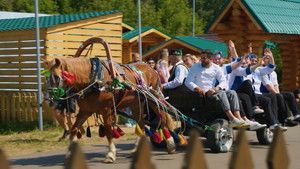 Poster for Episode 12