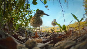 Poster for Episode 2