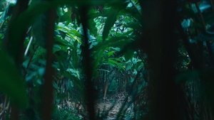 Poster for Episode 5