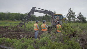 Poster for Into the Fold