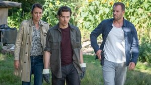 Poster for Episode 19