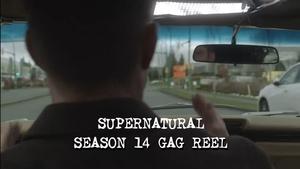 Poster for Season 14 Gag Reel