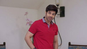 Poster for The Bahus have a Plan