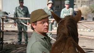 Poster for The Colonel's Horse