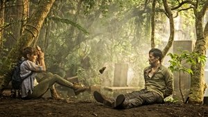 Poster for The Amazon