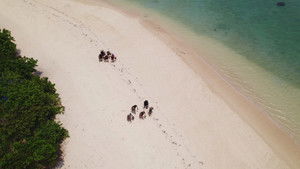 Poster for Episode 32