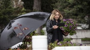 Poster for Episode 11