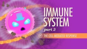 Poster for Immune System, Part 3