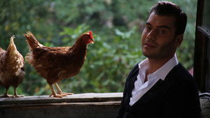 Poster for Episode 24