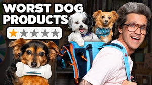 Poster for Are These New Pet Products Worth It? Poster for Are These New Pet Products Worth It?