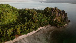 Poster for The snart against the strong