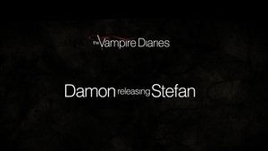 Poster for Favorite Scenes: Damon Releasing Stefan