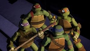 Poster for Rise of the Turtles (2)