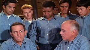 Poster for The Not-So-Great Escape  (2)