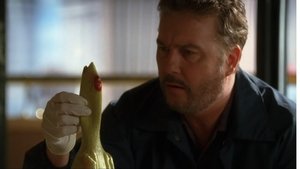 Poster for CSI-Episode: Two and a Half Deaths