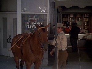 Poster for Manhattan Manhunt (1) (or Horse Stealing on Fifth Avenue)