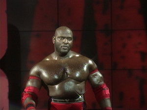 Poster for Raw - Nov. 27, 1995