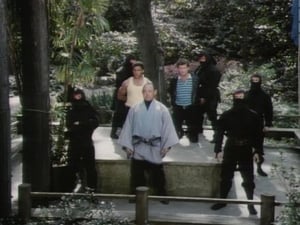 Poster for Knight of the Rising Sun