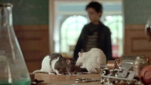 Poster for Episode 17