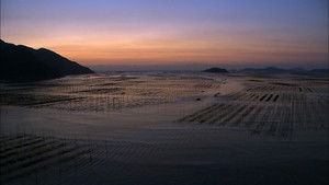 Poster for The Taste Of Time