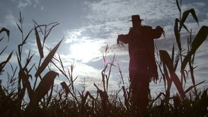 Poster for Scarecrow
