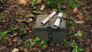 Poster for Episode 29