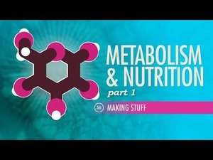 Poster for Metabolism & Nutrition, Part 1