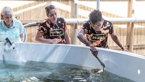 Poster for Leg 6 Poster for Leg 6