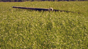 Poster for Maintenance Mistakes Poster for Maintenance Mistakes