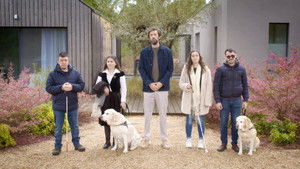 Poster for Blindness