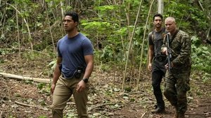 Poster for The Next Thousand