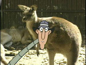 Poster for Underwater Australia / Florida Keys